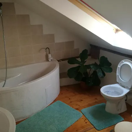 Apartament ピエシュチャニ