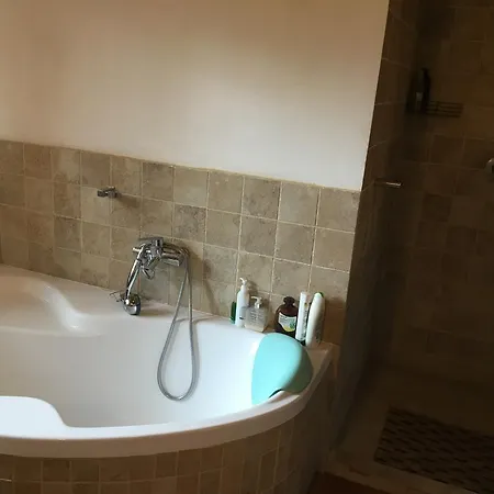 Apartament * ピエシュチャニ