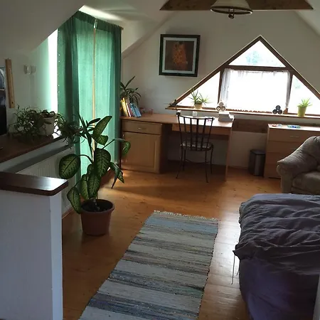 Apartament * ピエシュチャニ